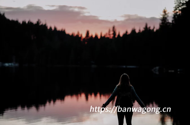 搬瓦工方案选择