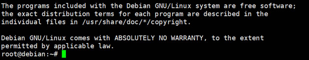 纯净版Debian系统登录成功